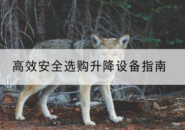 茅箭升降货梯厂家推荐-*安全选购升降设备指南