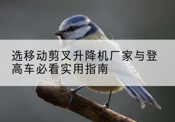 茅箭电动升降机厂家-选移动剪叉升降机厂家与登高车必看实用指南